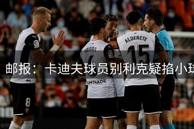 邮报：卡迪夫球员别利克疑掐小球迷喉咙，警方介入调查